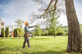 Best Tree Removal  in Mdleton, ID