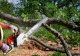 Best Arborist Consultation Services  in Mdleton, ID